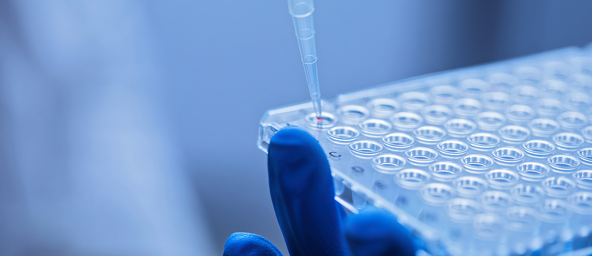 Provide Cell and Gene Therapy Product Quality Testing Services